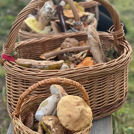 Horská chata Drevenica Pri Hajenke Zázrivá